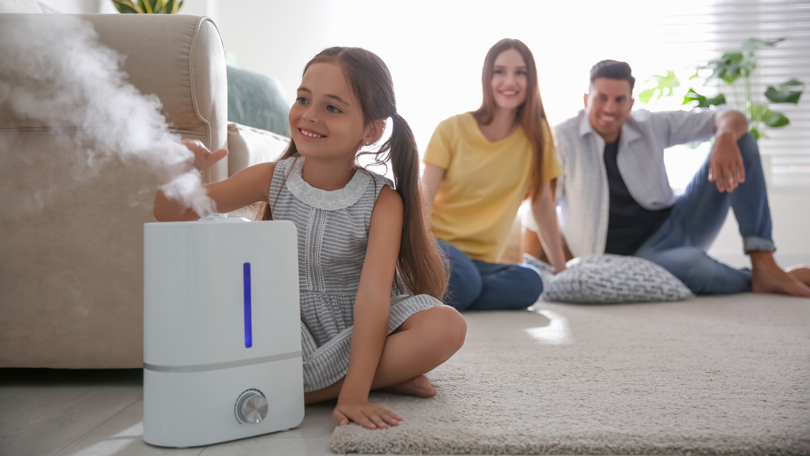 The family uses a humidifier to fight dry indoor air