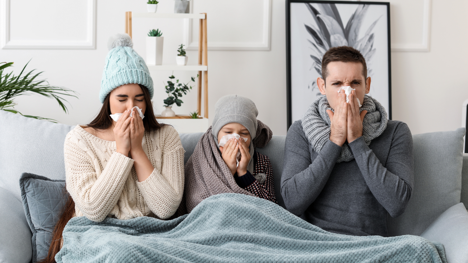 Mold can cause serious illness – aspergillosis and chronic cough in your family