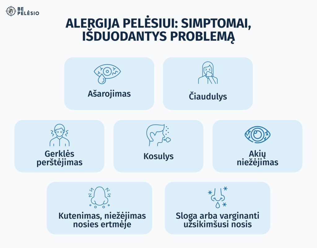 Alergija: priežastys, simptomai ir dažniausi tipai 6 Alergija pelėsiui: simptomai išduodantys problemą: ašarojimas, čiaudulys, kosulys, sloga ir kt.