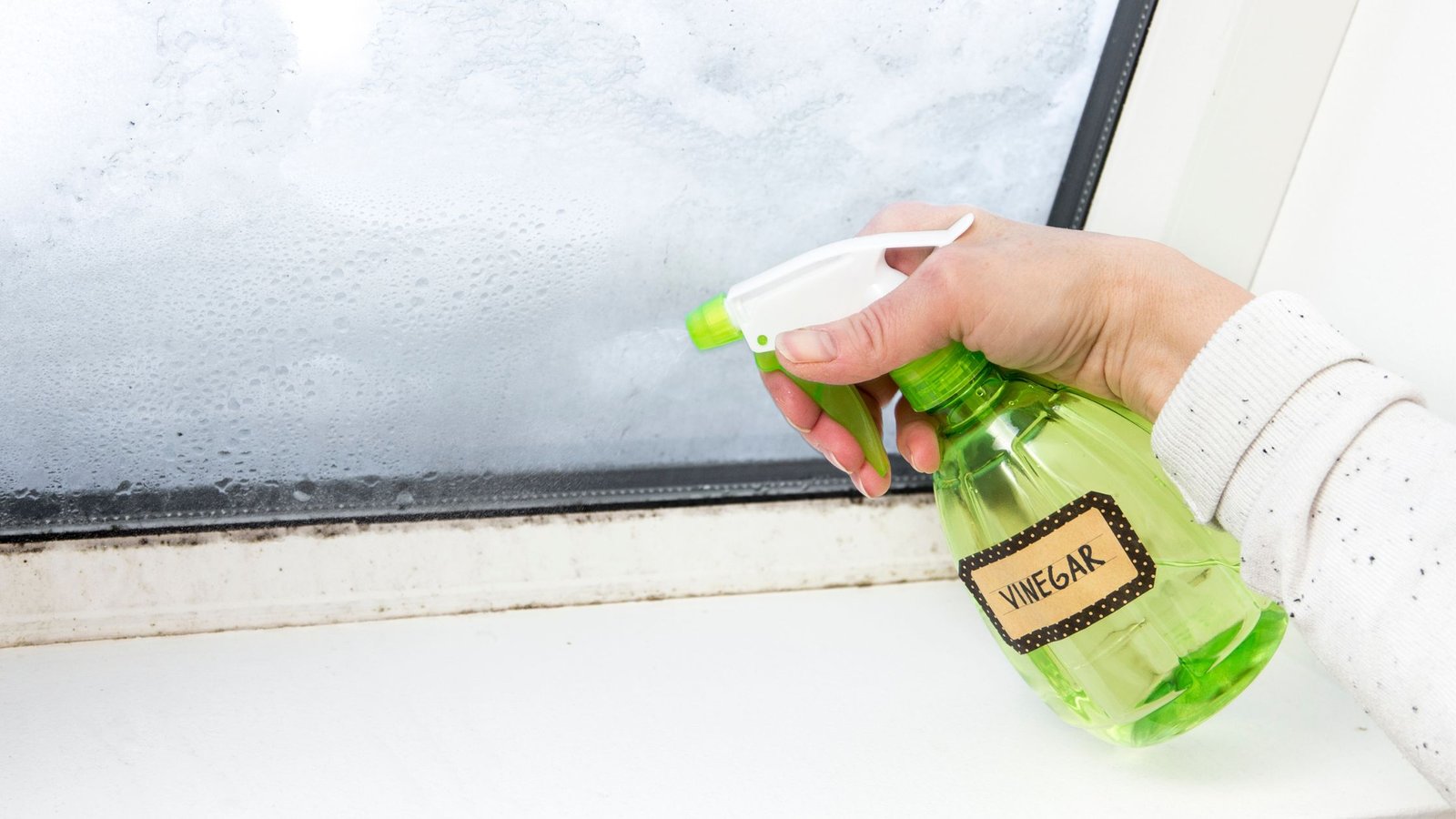 Pelėsis ant langų: atsiradimo priežastys ir kaip jo išvengti? 4 Pelėsio ant langų šalinimas su acto tirpalu