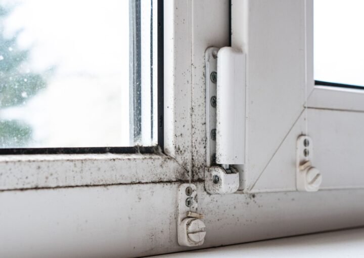 Mold on windows