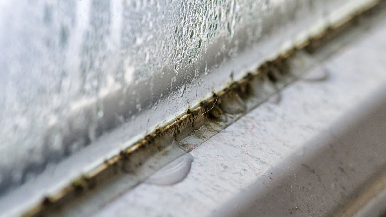 Pelėsis ant langų: atsiradimo priežastys ir kaip jo išvengti? 3 Rasojantys langai viena iš priežasčių, kodėl atsiranda pelėsis prie lango