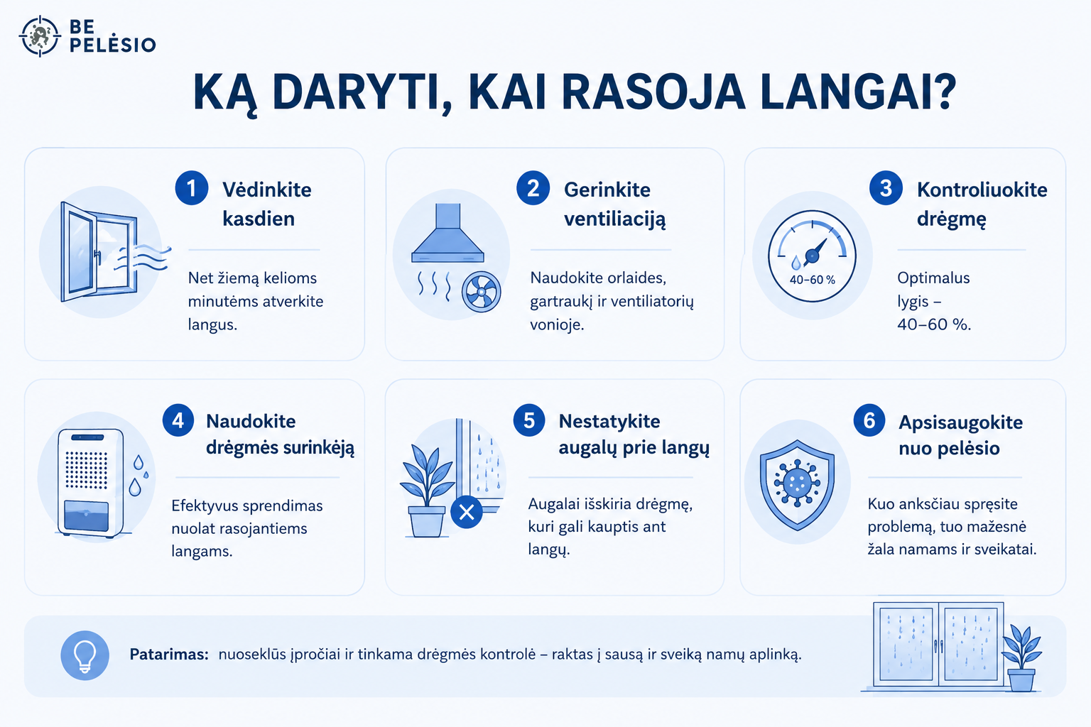 Kodėl namuose rasoja langai ir ką daryti? 8 Infografikas su patarimais, ką daryti, kai rasoja langai: kasdien vėdinti patalpas, gerinti ventiliaciją, palaikyti 40–60 % drėgmę, naudoti drėgmės surinkėją, nestatyti augalų prie langų ir saugotis pelėsio.