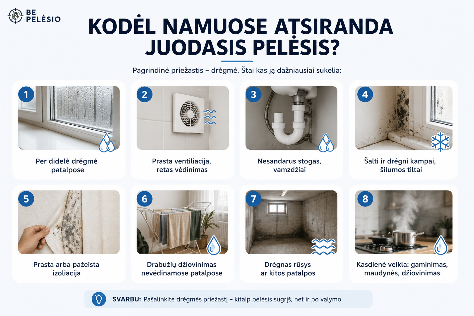 Juodasis pelėsis: kuo jis pavojingas ir kaip jį išnaikinti namuose? 5 Infografikas - dažniausios priežastys, kodėl namuose atsiranda juodasis pelėsis: drėgmė, prasta ventiliacija, nesandarūs vamzdžiai, šalti kampai, prasta izoliacija ir drėgnas rūsys.