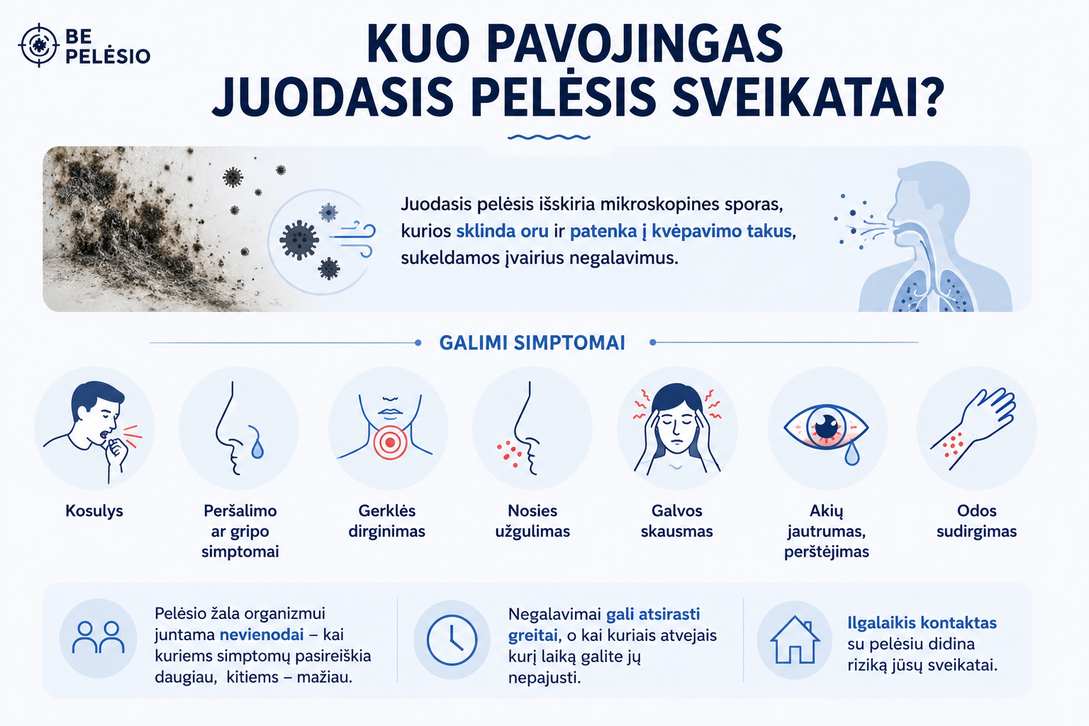 Juodasis pelėsis: kuo jis pavojingas ir kaip jį išnaikinti namuose? 6 Juodojo pelėsio poveikis sveikatai: kosulys, nosies užgulimas, gerklės dirginimas, galvos skausmas, akių jautrumas ir odos sudirgimas.